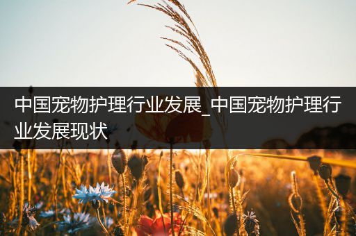中国宠物护理行业发展_中国宠物护理行业发展现状