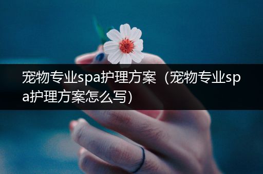 宠物专业spa护理方案（宠物专业spa护理方案怎么写）