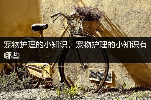 宠物护理的小知识，宠物护理的小知识有哪些