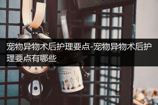 宠物异物术后护理要点-宠物异物术后护理要点有哪些