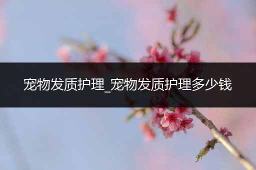 宠物发质护理_宠物发质护理多少钱