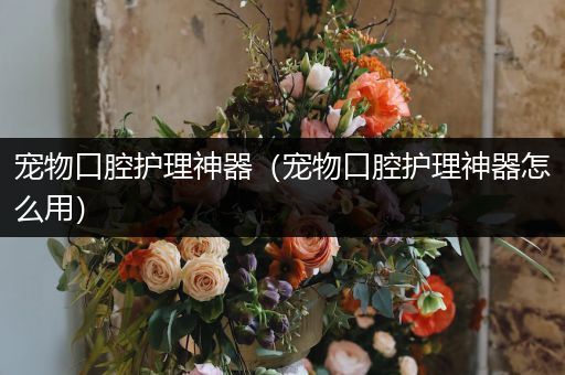 宠物口腔护理神器（宠物口腔护理神器怎么用）