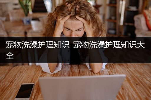 宠物洗澡护理知识-宠物洗澡护理知识大全