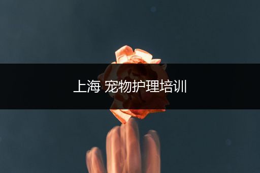 上海 宠物护理培训