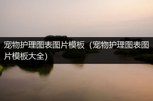 宠物护理图表图片模板（宠物护理图表图片模板大全）