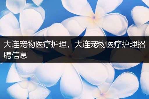 大连宠物医疗护理，大连宠物医疗护理招聘信息