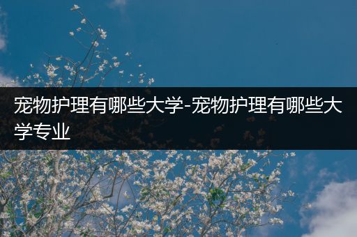 宠物护理有哪些大学-宠物护理有哪些大学专业