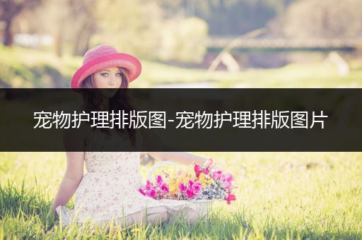 宠物护理排版图-宠物护理排版图片