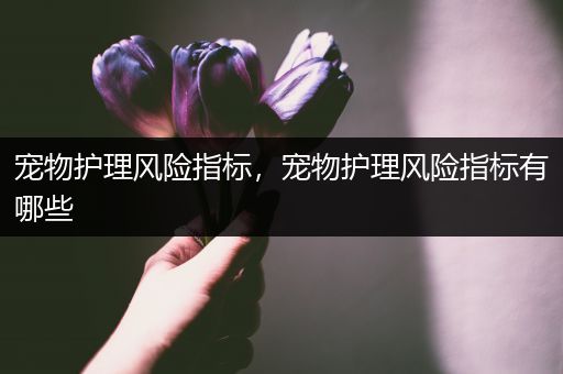 宠物护理风险指标，宠物护理风险指标有哪些