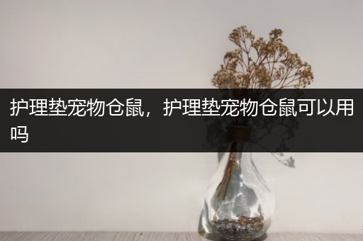 护理垫宠物仓鼠，护理垫宠物仓鼠可以用吗