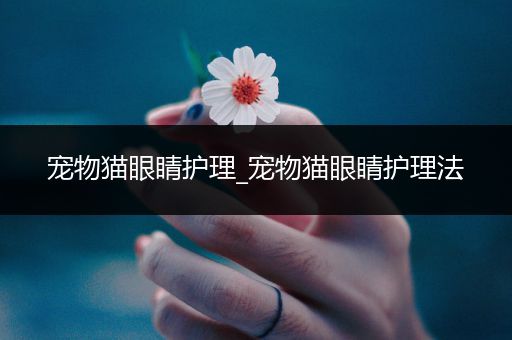 宠物猫眼睛护理_宠物猫眼睛护理法