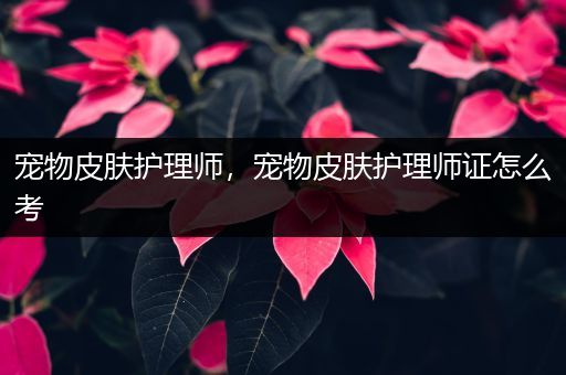 宠物皮肤护理师，宠物皮肤护理师证怎么考