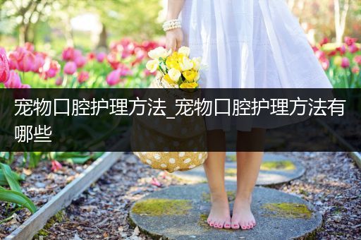 宠物口腔护理方法_宠物口腔护理方法有哪些