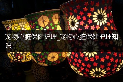 宠物心脏保健护理_宠物心脏保健护理知识