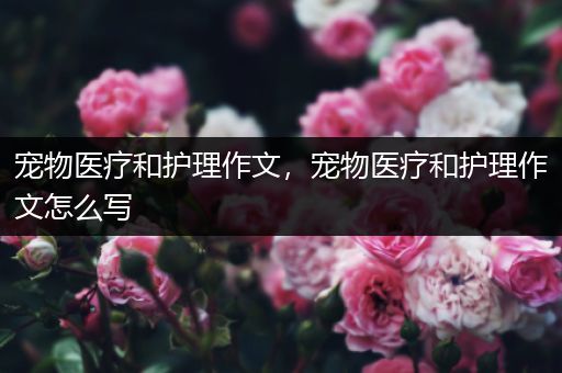 宠物医疗和护理作文，宠物医疗和护理作文怎么写