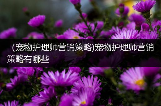 （宠物护理师营销策略)宠物护理师营销策略有哪些