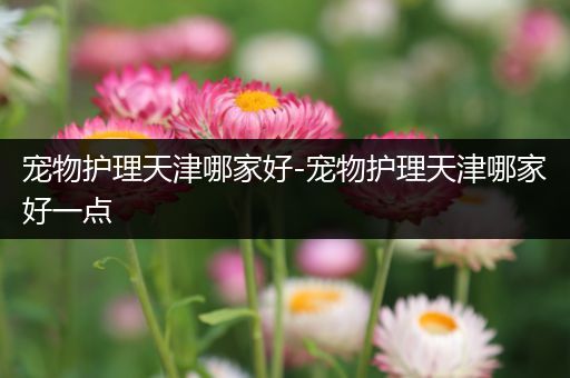 宠物护理天津哪家好-宠物护理天津哪家好一点