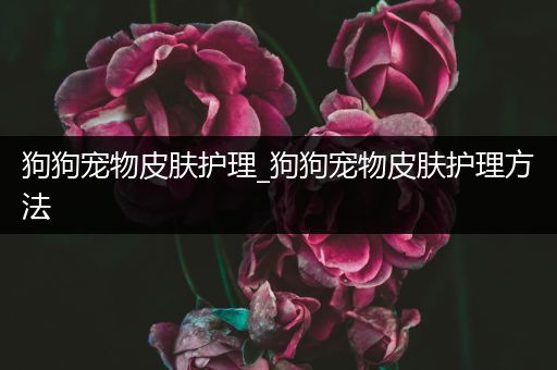 狗狗宠物皮肤护理_狗狗宠物皮肤护理方法