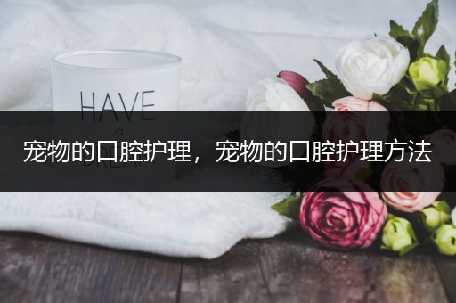 宠物的口腔护理，宠物的口腔护理方法