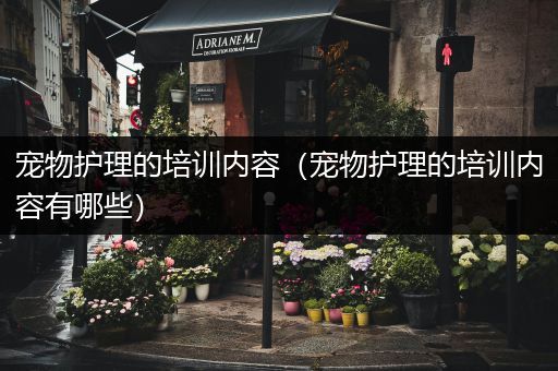 宠物护理的培训内容（宠物护理的培训内容有哪些）