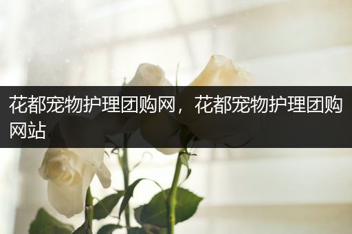 花都宠物护理团购网，花都宠物护理团购网站