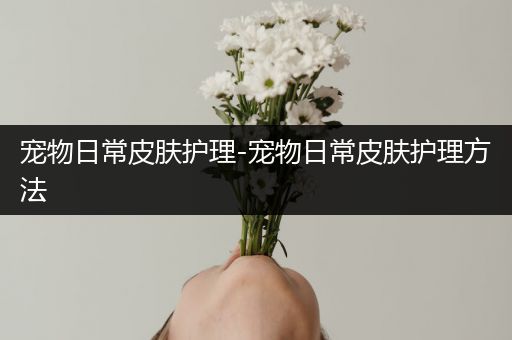 宠物日常皮肤护理-宠物日常皮肤护理方法
