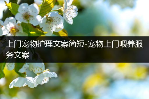 上门宠物护理文案简短-宠物上门喂养服务文案