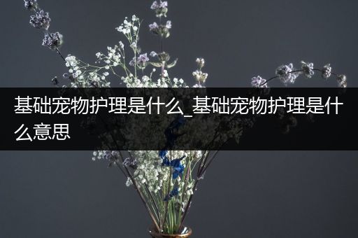 基础宠物护理是什么_基础宠物护理是什么意思