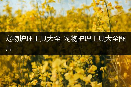 宠物护理工具大全-宠物护理工具大全图片
