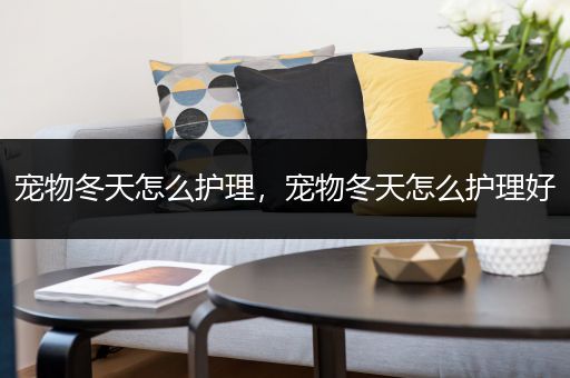 宠物冬天怎么护理，宠物冬天怎么护理好