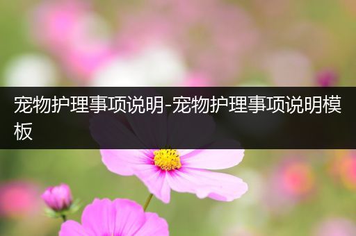 宠物护理事项说明-宠物护理事项说明模板