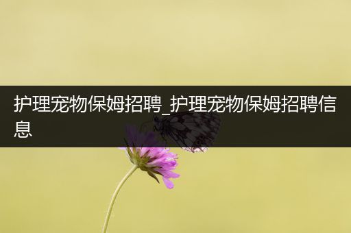 护理宠物保姆招聘_护理宠物保姆招聘信息