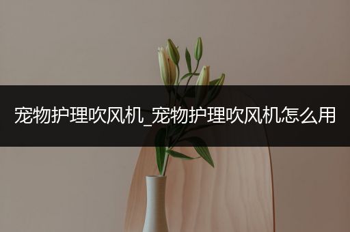 宠物护理吹风机_宠物护理吹风机怎么用