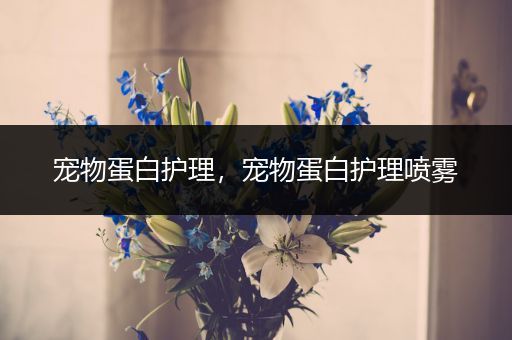 宠物蛋白护理，宠物蛋白护理喷雾