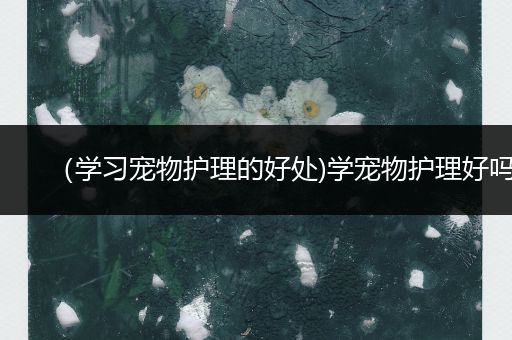 （学习宠物护理的好处)学宠物护理好吗