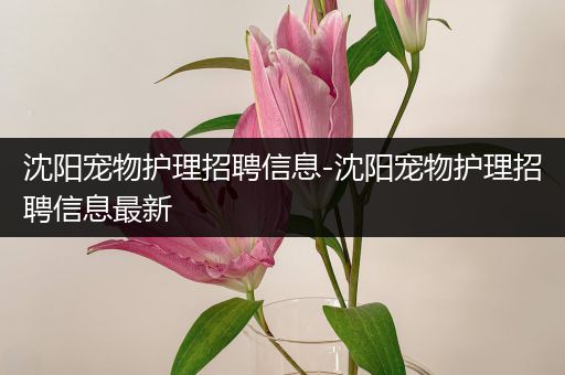 沈阳宠物护理招聘信息-沈阳宠物护理招聘信息最新