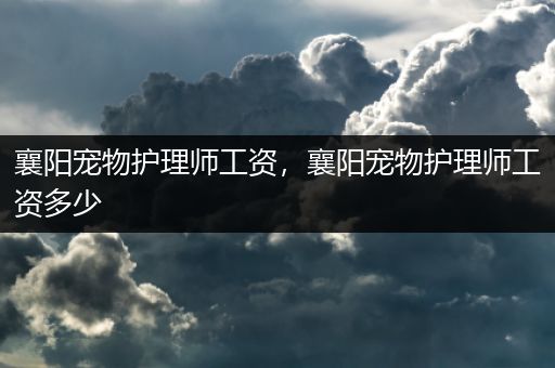 襄阳宠物护理师工资，襄阳宠物护理师工资多少