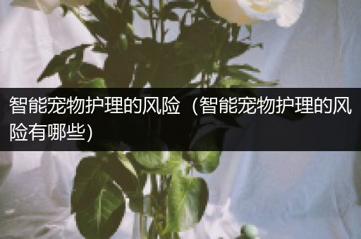 智能宠物护理的风险（智能宠物护理的风险有哪些）