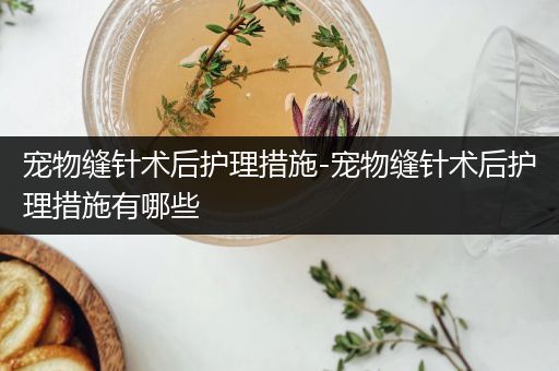 宠物缝针术后护理措施-宠物缝针术后护理措施有哪些