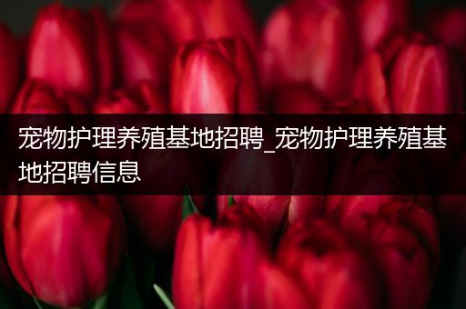 宠物护理养殖基地招聘_宠物护理养殖基地招聘信息