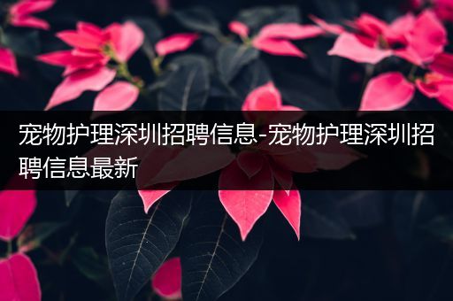 宠物护理深圳招聘信息-宠物护理深圳招聘信息最新