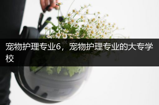 宠物护理专业6，宠物护理专业的大专学校