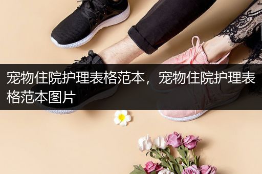 宠物住院护理表格范本，宠物住院护理表格范本图片