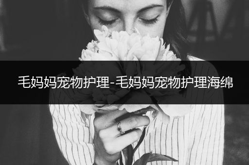 毛妈妈宠物护理-毛妈妈宠物护理海绵