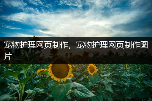 宠物护理网页制作，宠物护理网页制作图片