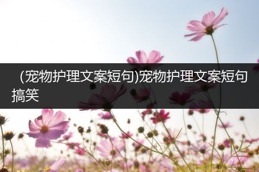 （宠物护理文案短句)宠物护理文案短句搞笑