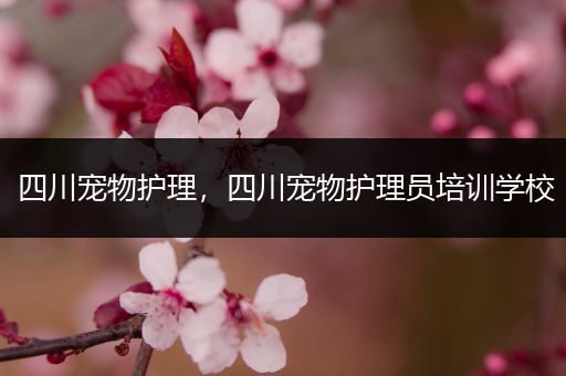 四川宠物护理，四川宠物护理员培训学校