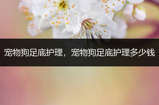 宠物狗足底护理，宠物狗足底护理多少钱