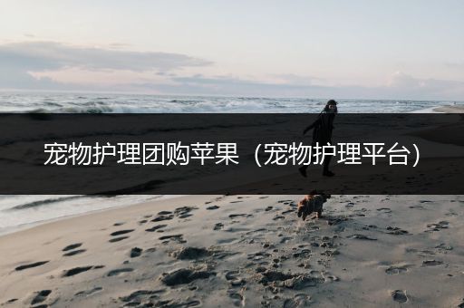 宠物护理团购苹果（宠物护理平台）