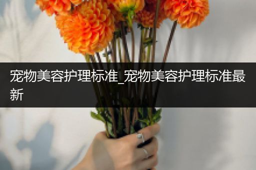 宠物美容护理标准_宠物美容护理标准最新